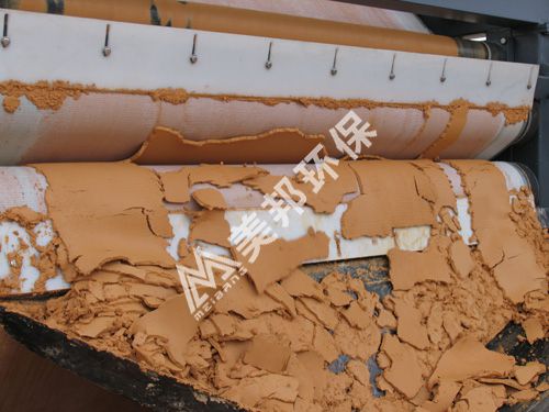 1556508825454673.jpg 2012129125932551.jpg